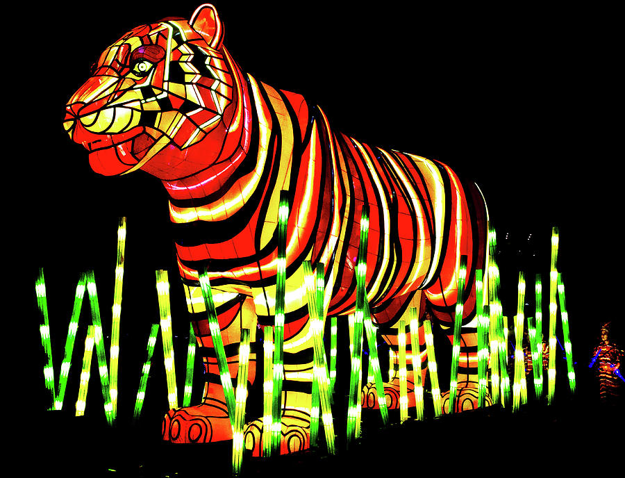 Sumatran Tiger Light Sculpture Photograph by Miroslava Jurcik