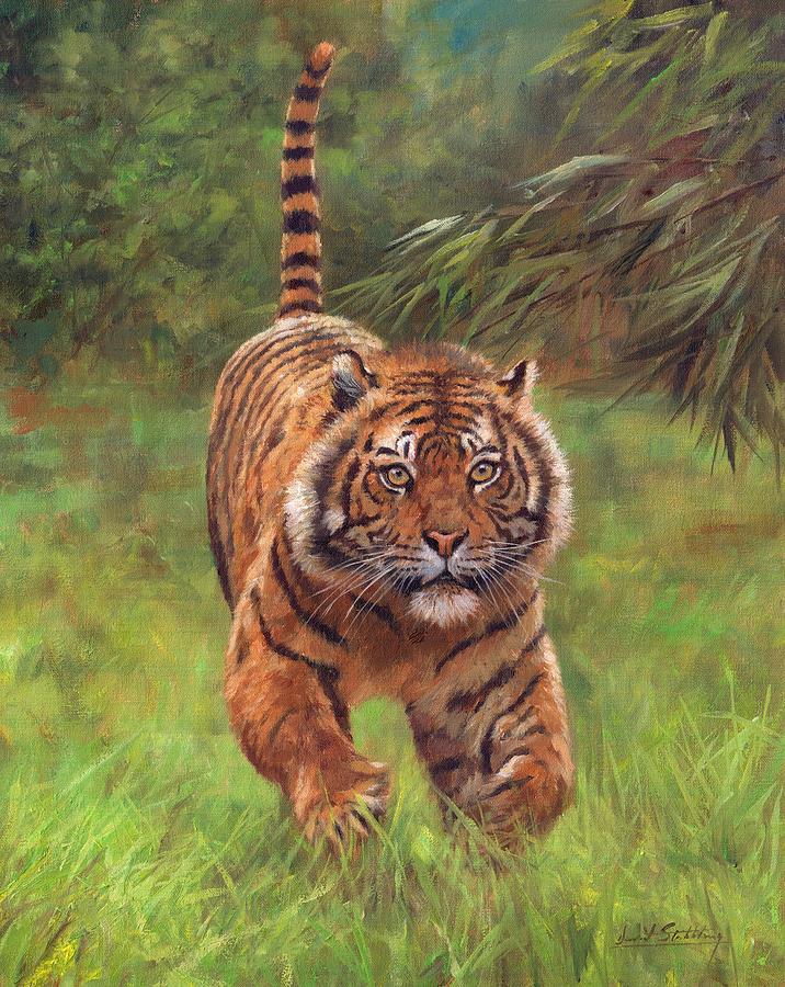 Sumatran Tiger Running Painting by David Stribbling