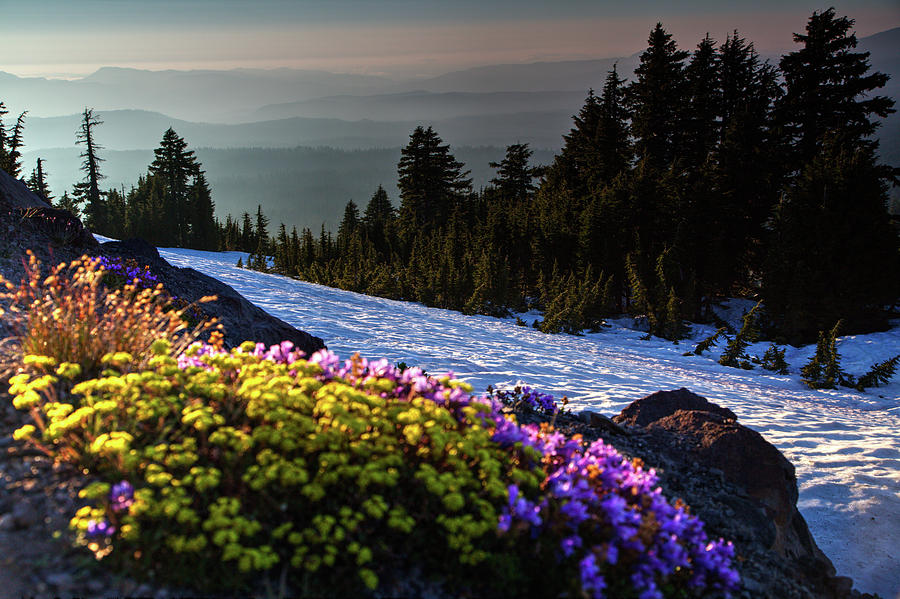 Summer and winter by David Chandler Summer and winter by David Chandler