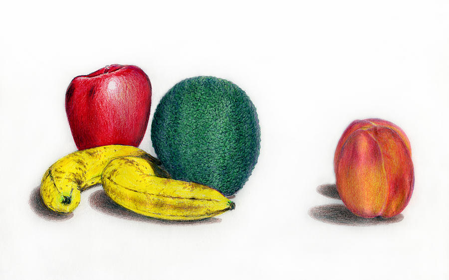 Summer and Winter Fruit Drawing by Marilyn Borne