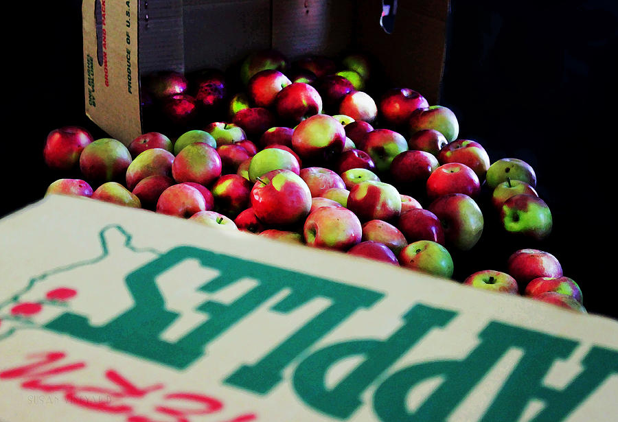 Summer Apples Photograph by Susan Vineyard