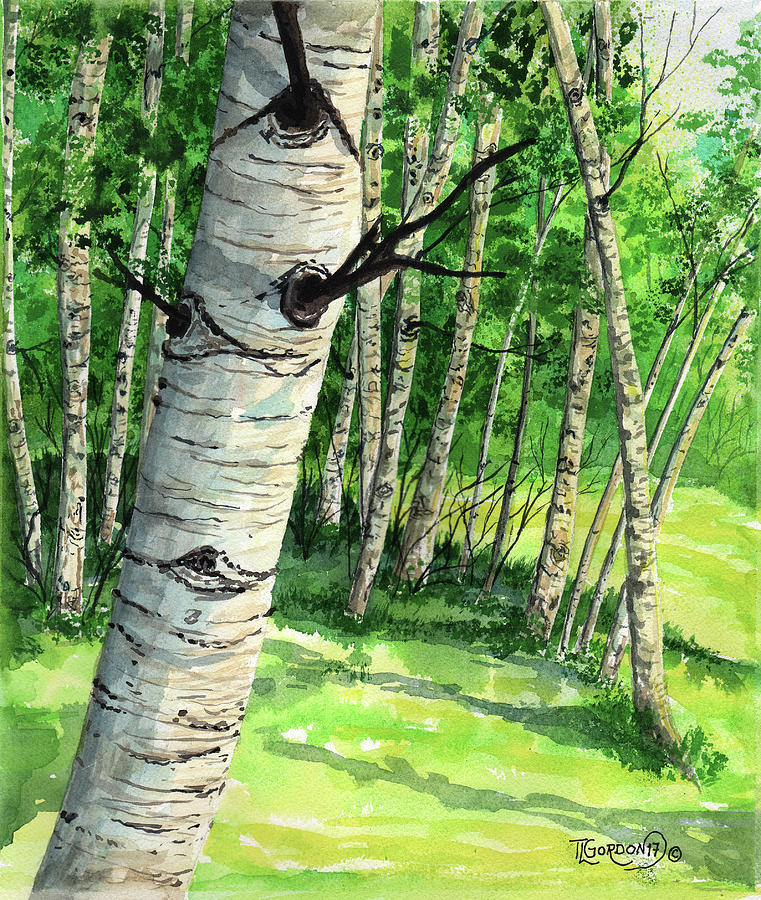 Tree Painting - Summer Aspen by Timithy L Gordon