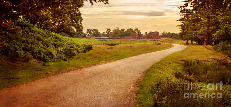 Summer At Bradgate Park Leicestershire Photograph by Linsey Williams