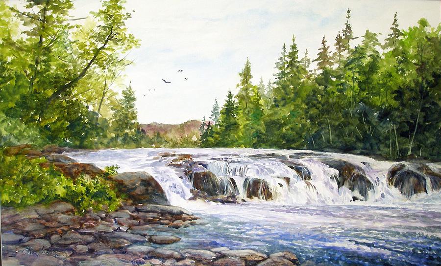 Summer at Buttermilk Falls Painting by Lois Mountz