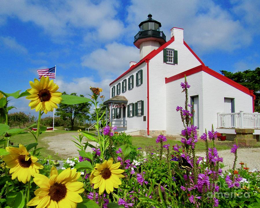 Summer at East Point Light Photograph by Nancy Patterson