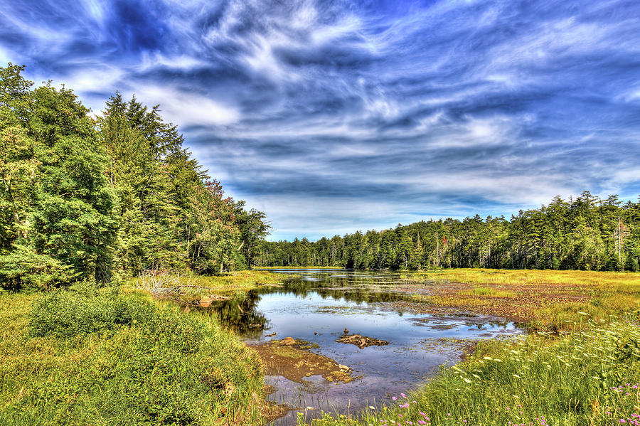 Landscape Photograph - Summer at Fly Pond by David Patterson