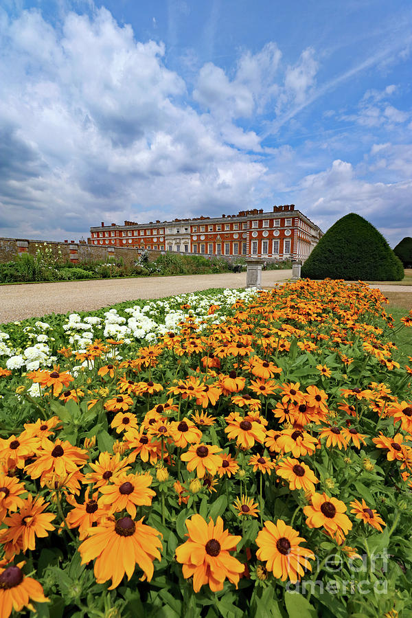 Summer at Hampton Court Palace  Photograph by Julia Gavin