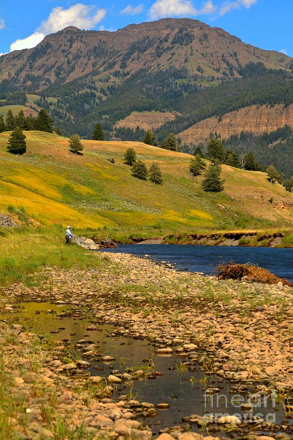 Summer At Lamar Valley Photograph by Adam Jewell