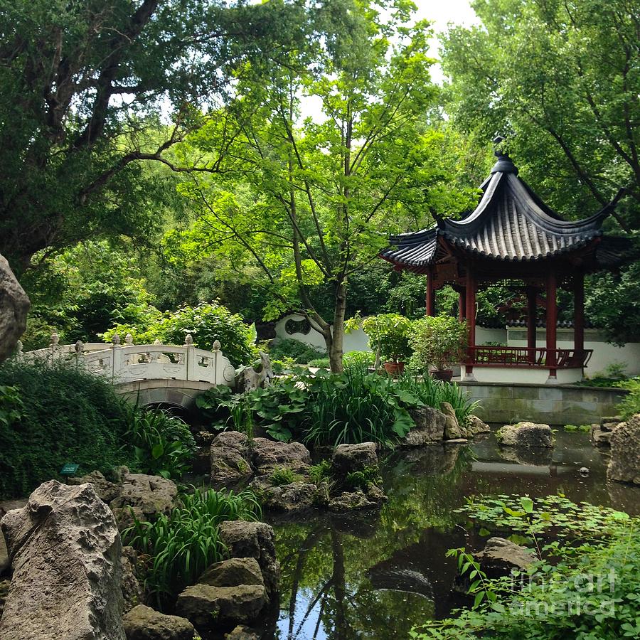 Summer At The Chinese Garden  Photograph by Debbie Fenelon