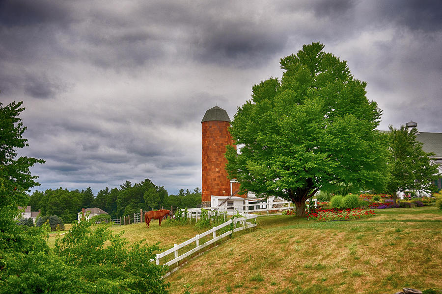 Landscape Photograph - Summer At The Farm by Tricia Marchlik
