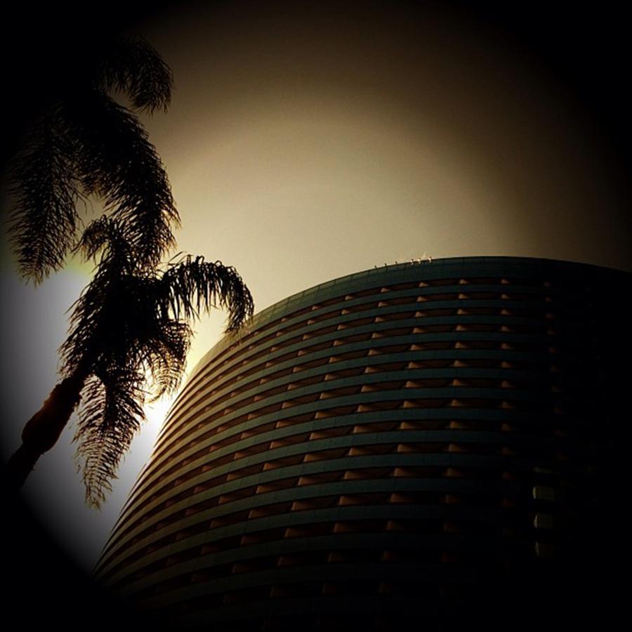 Sandiego Photograph - Summer At The Marriott! 🏊
#sandiego by San Diego California