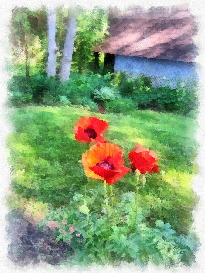 Summer Backyard Poppies Painting
