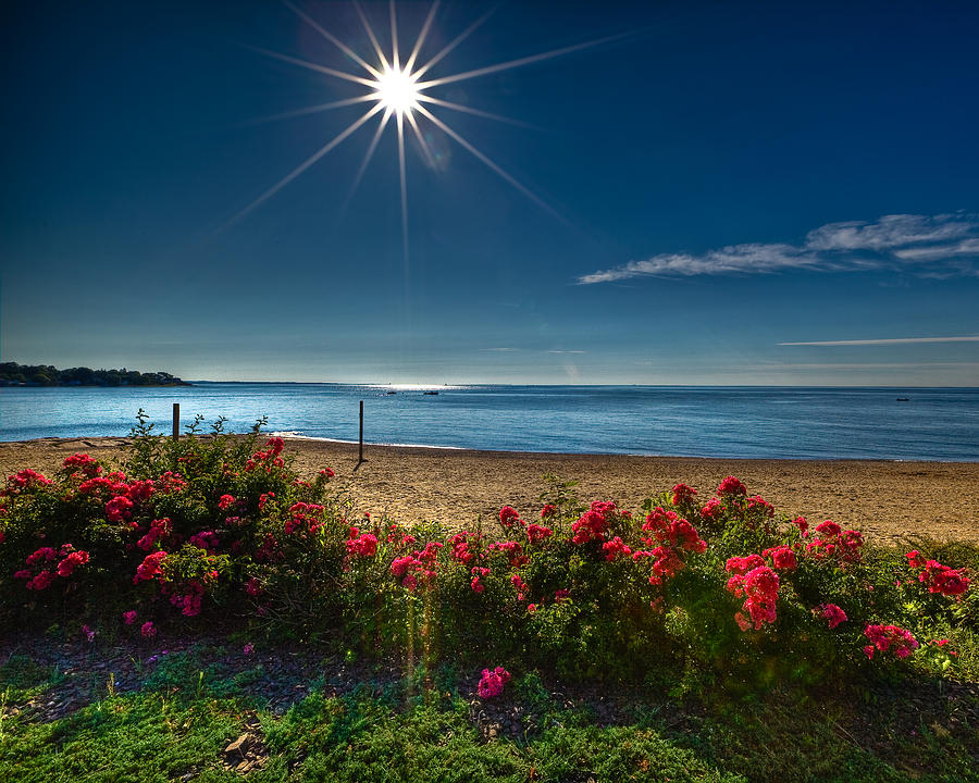 Summer Beach View Photograph By John Supan