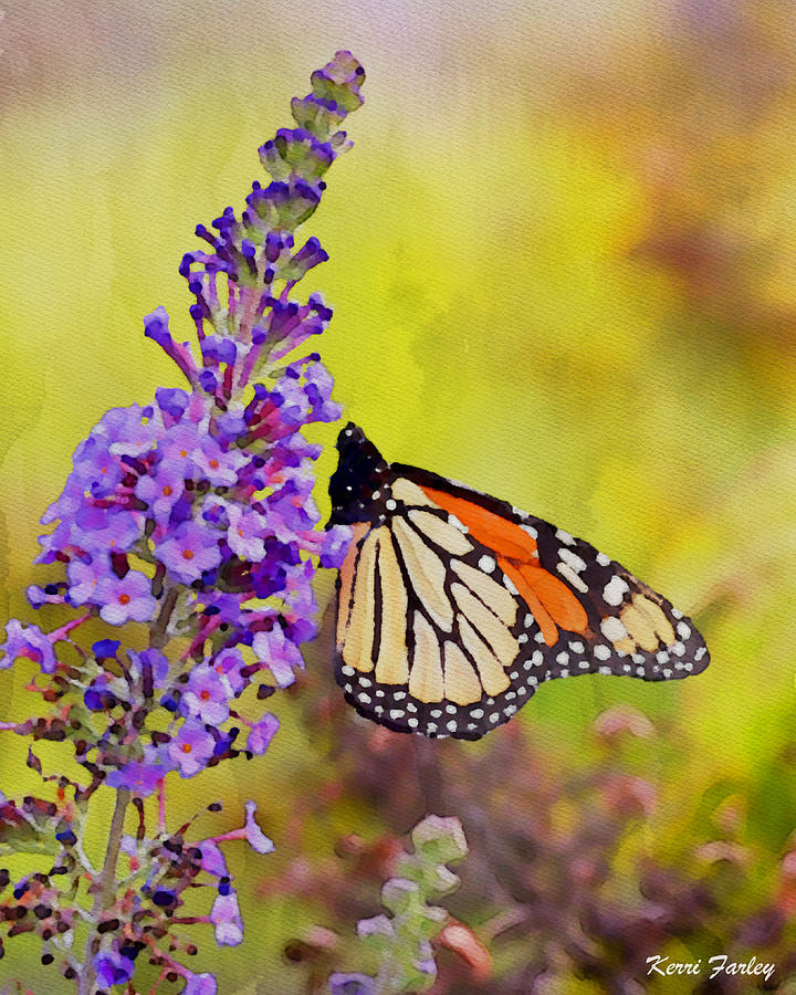 Summer Beauty - Monarch Butterfly Painting by Kerri Farley