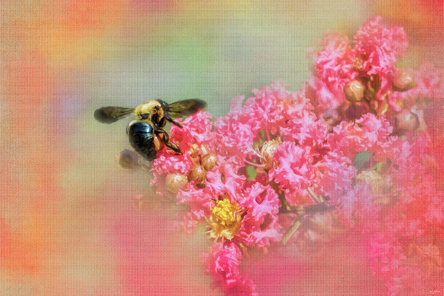 Summer Bee Photograph by Jai Johnson