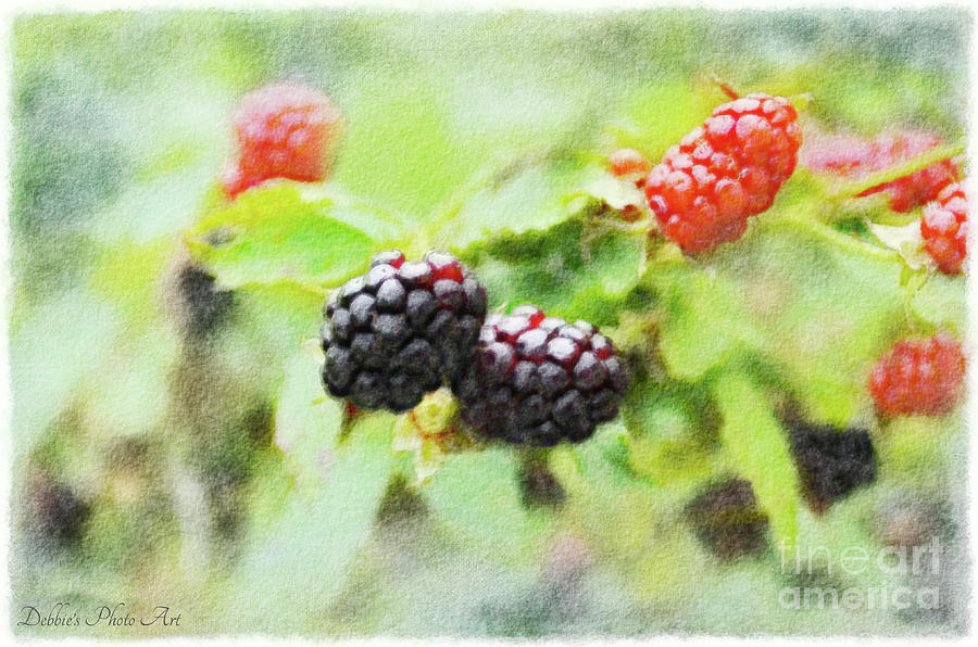 Summer blackberries 5 - Digital Watercolor Photograph by Debbie Portwood