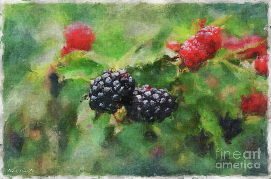 Summer Blackberries 2 Photograph by Debbie Portwood