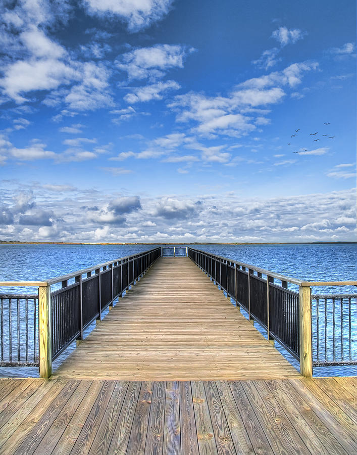 Summer Bliss Photograph by Tammy Wetzel