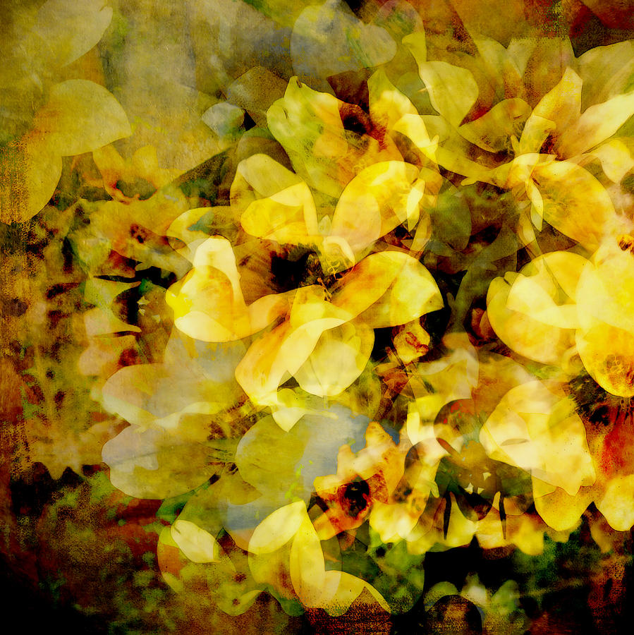 Summer Bloom - abstract flower art  Digital Art by Ann Powell