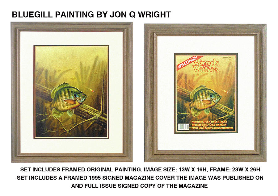 Fish Painting - Summer Bluegill by JQ Licensing