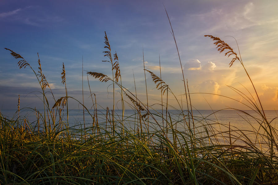 Summer Breezes Photograph by Debra and Dave Vanderlaan - Fine Art America