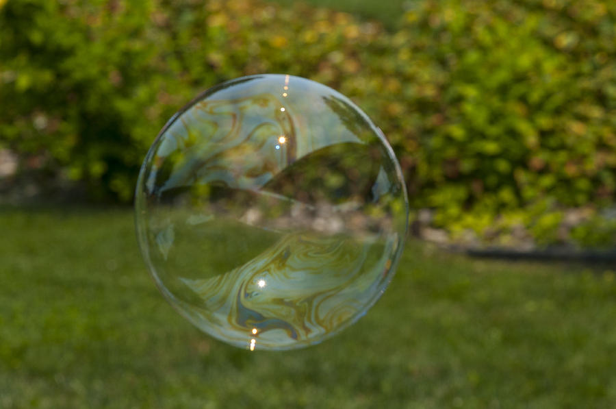 Summer bubble Photograph by Brian Green