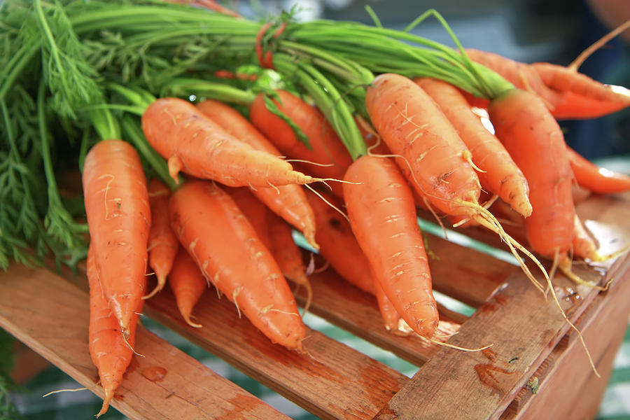Summer Carrots Photograph
