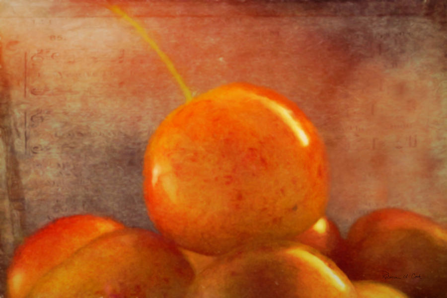 Summer Cherries Photograph by Bellesouth Studio