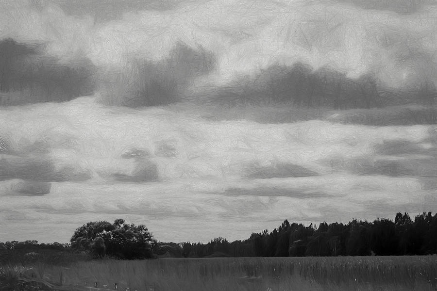 Summer clouds artistic Photograph by Leif Sohlman