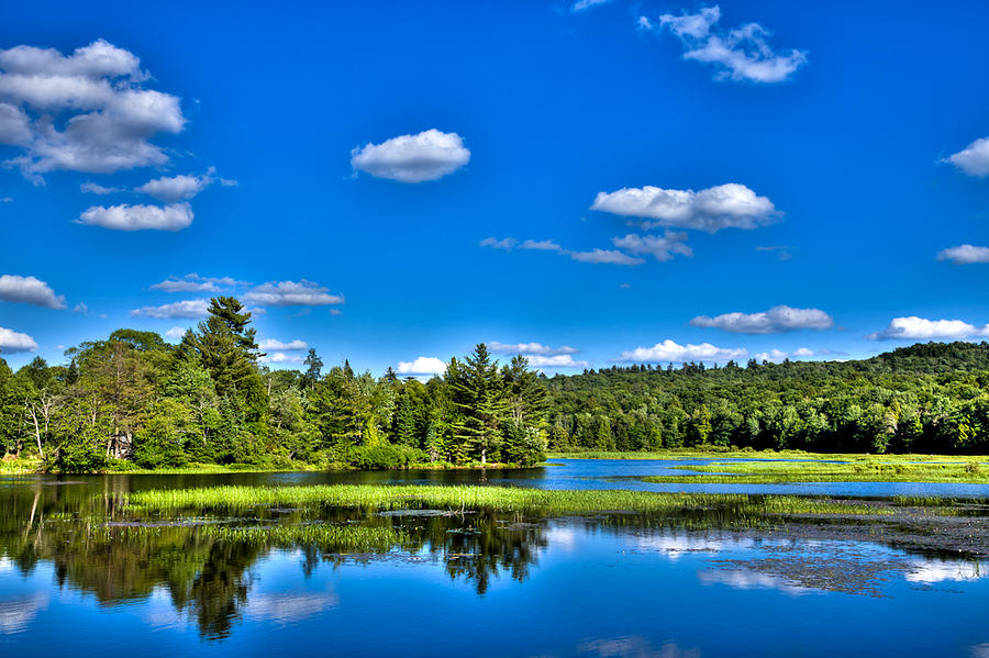 Summer Color on the Moose River Photograph by David Patterson