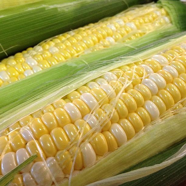 Summer Photograph - #summer #corn #market #york by Shari Malin