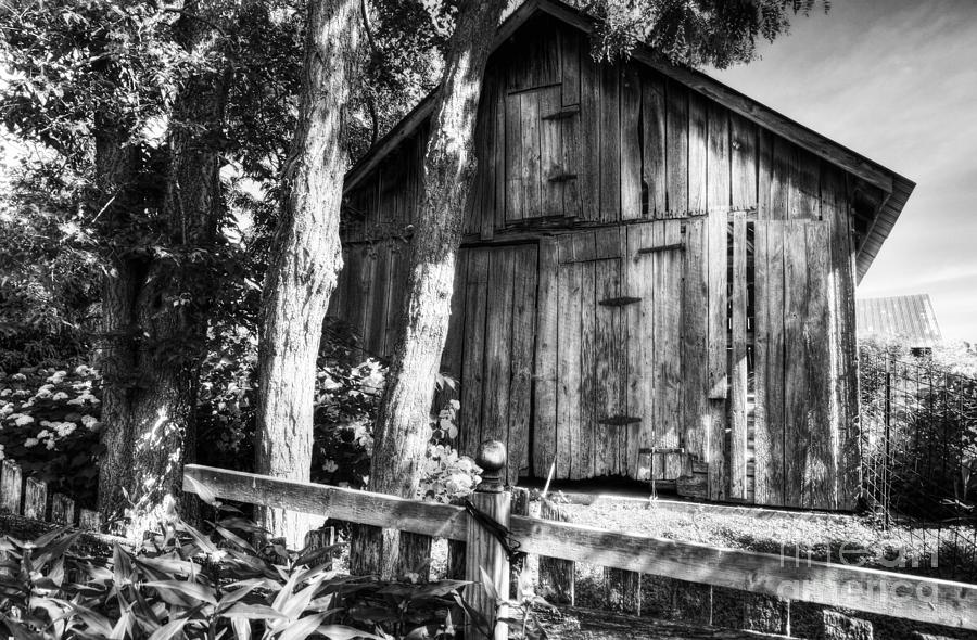 Summer Country Barn BW Photograph by Mel Steinhauer