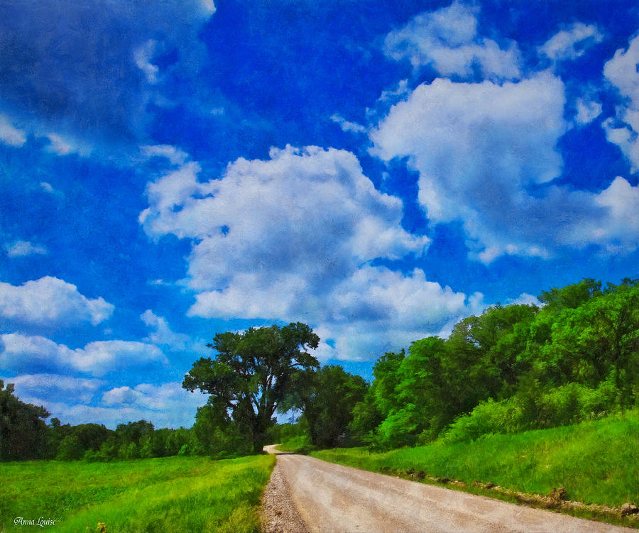 Summer Country Road Photograph by Anna Louise