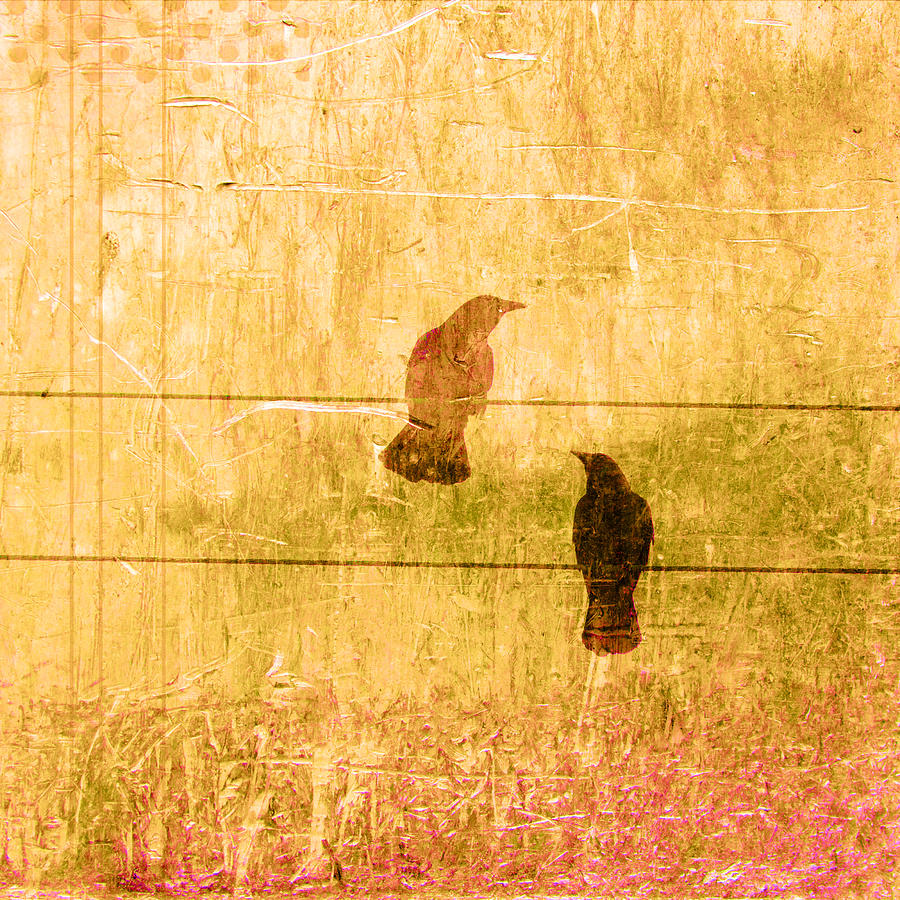 Summer Photograph - Summer Crows by Carol Leigh