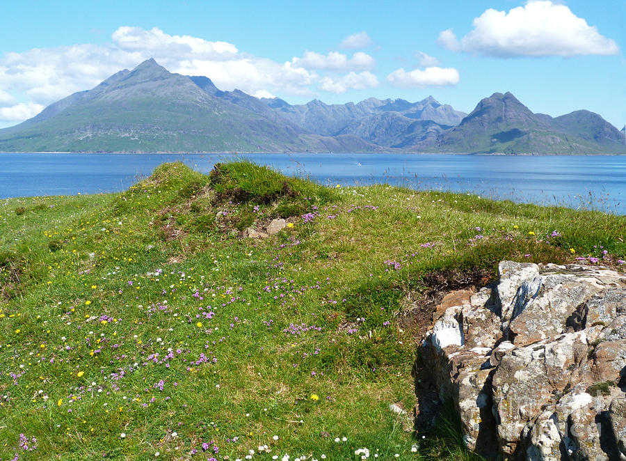The Cuillins - Isle of Skye - Scotland Photograph by Phil Banks