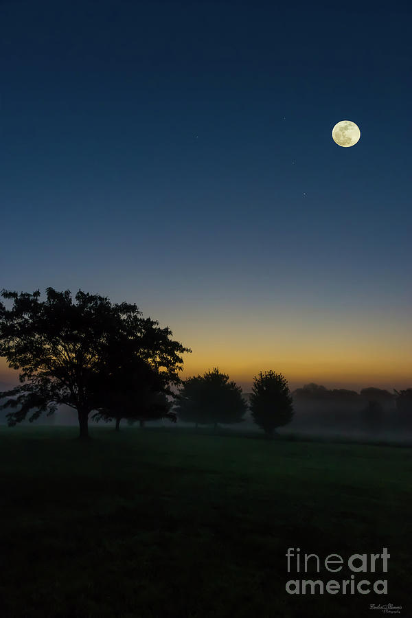 Summer Dawn With Moon Photograph by Jennifer White
