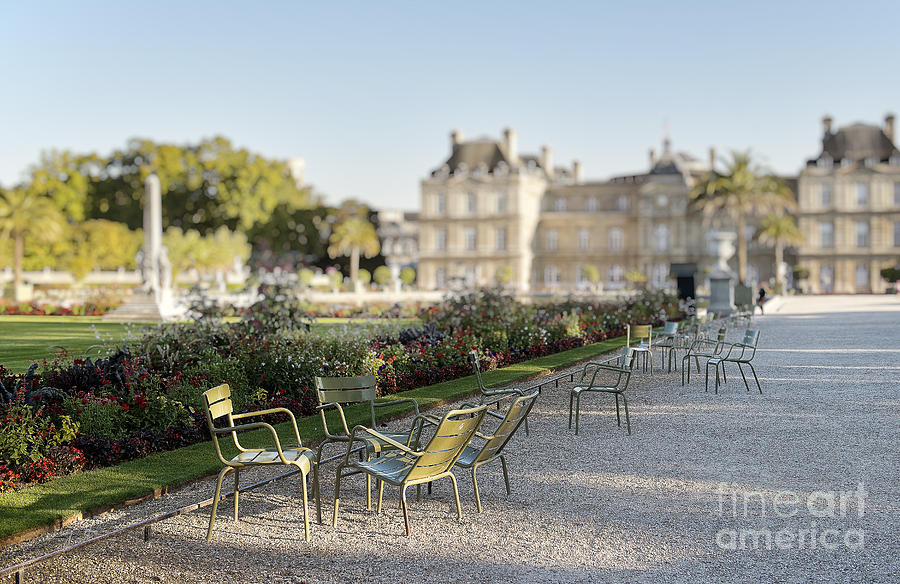 Summer day out at the Luxembourg garden Photograph by Ivy Ho