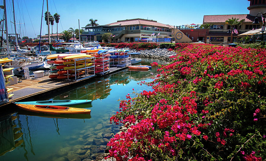 Summer Days at the Ventura Harbor Photograph by Lynn Bauer