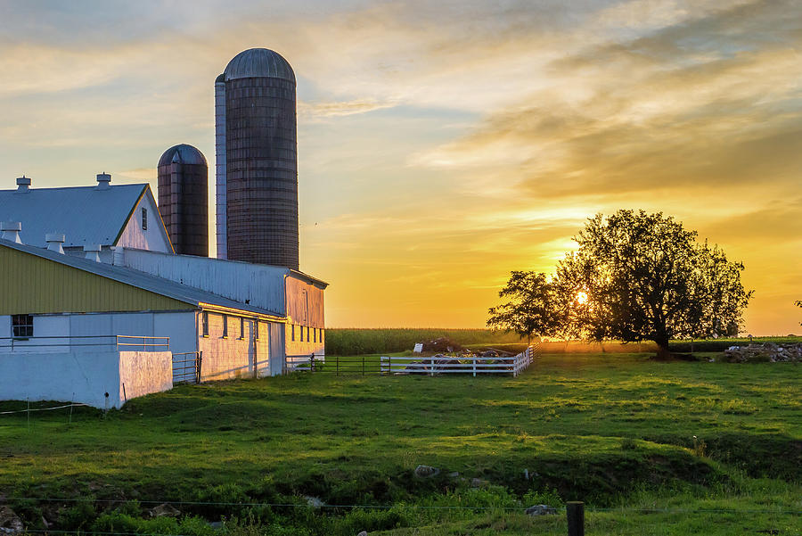 Summer Day's End Photograph by David Stackhouse - Fine Art America