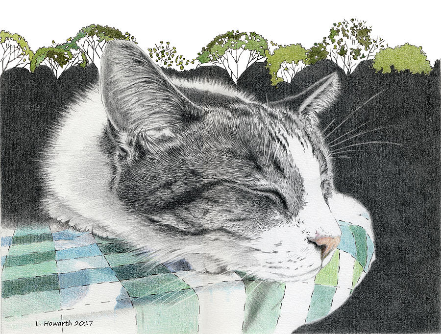 Summer Dreams Drawing by Louise Howarth