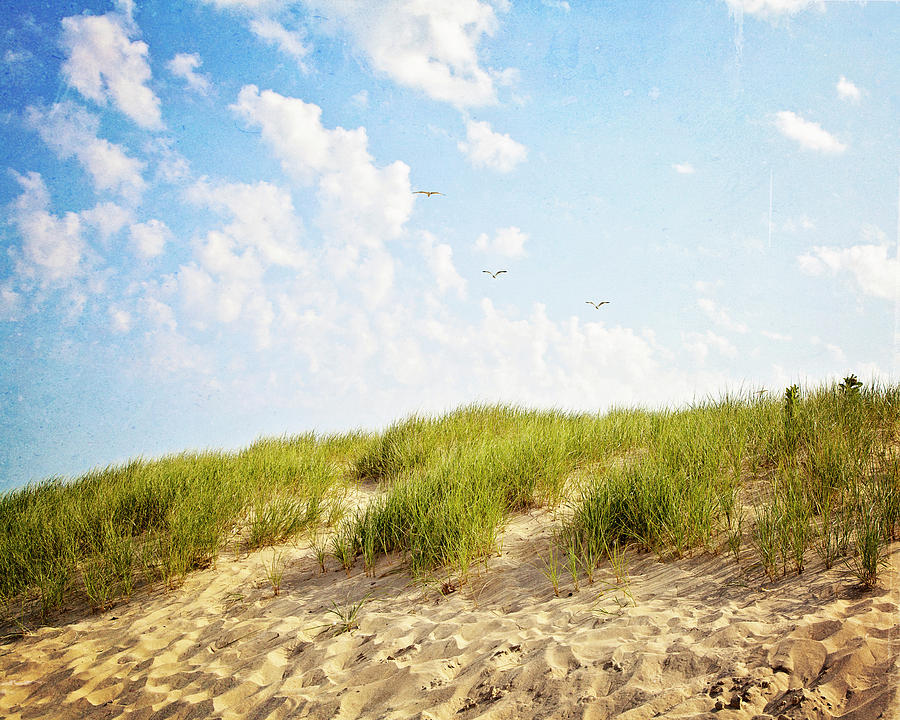 Summer Dunes Photograph by Melanie Alexandra Price