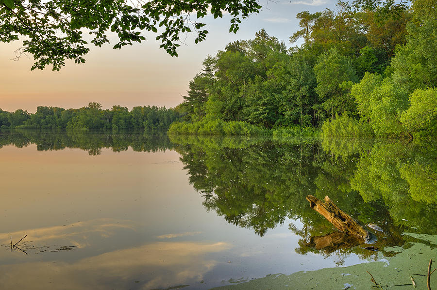 Summer Evening at Carver Lake Minnesota Photograph by Chris Williams ...