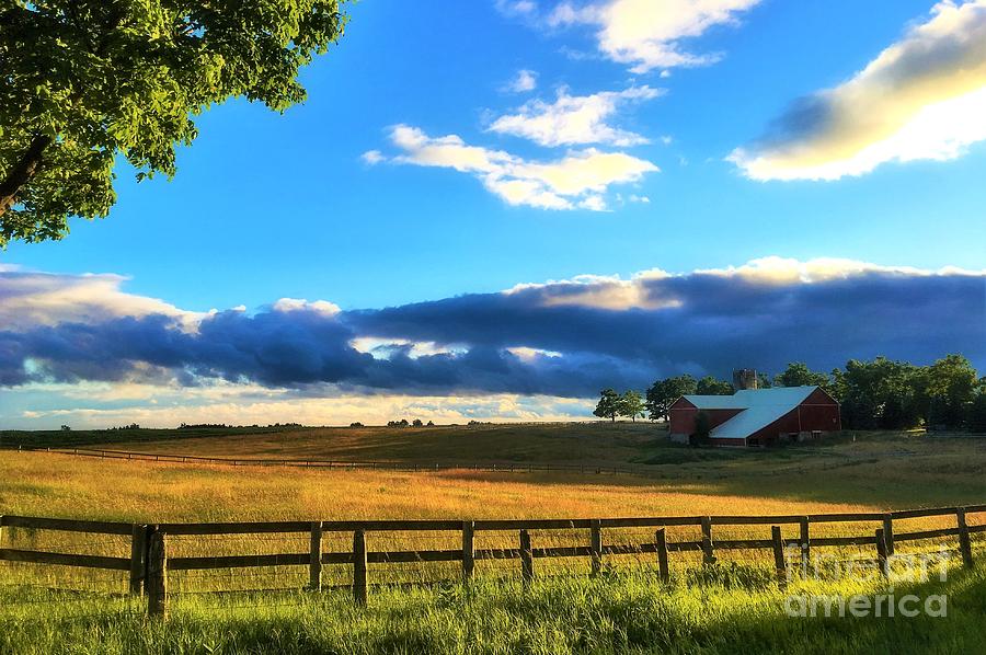 Summer Farm Shadows Photograph by Anthony Djordjevic - Fine Art America