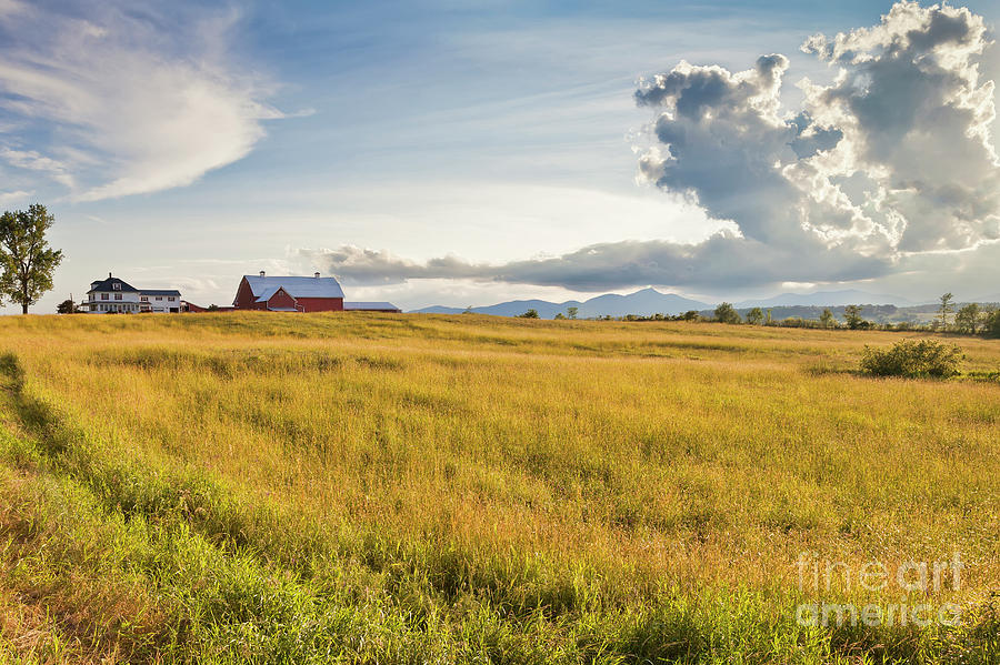 Summer Farmscape Photograph by Alan L Graham
