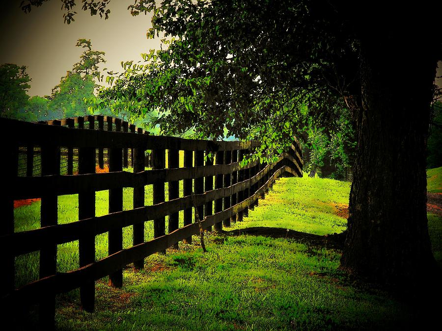 Summer Fence Photograph by Joyce Kimble Smith