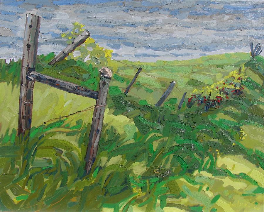 Summer Painting - Summer Fence by Phil Chadwick
