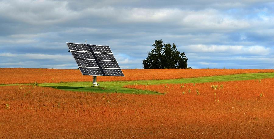 Summer Field With Solar Panels  Photograph by Lyle Crump