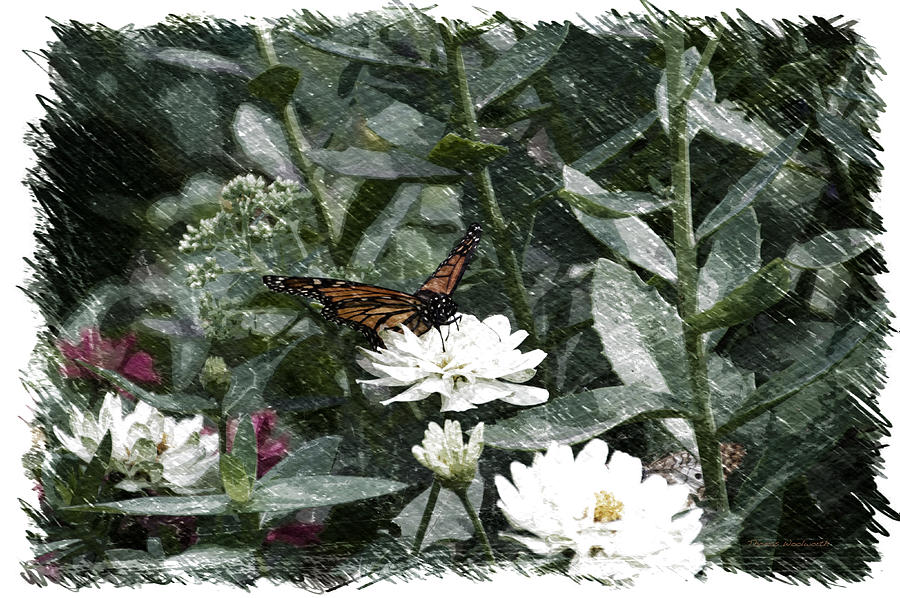 Butterfly Mixed Media - Summer Floral With Monarch Butterfly PA 02 by Thomas Woolworth