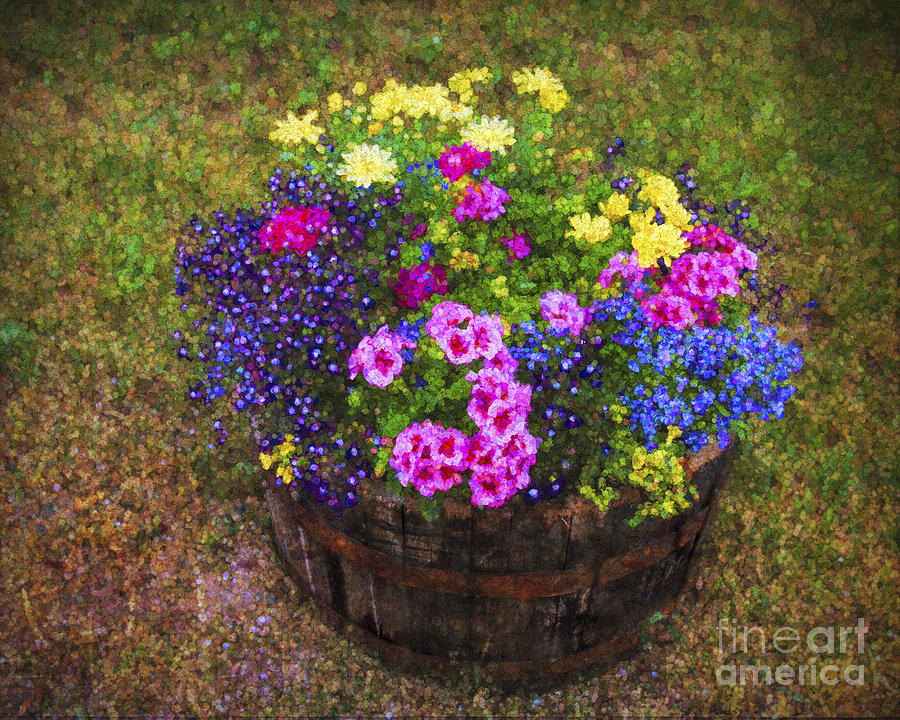 Summer Flower Barrel Photograph