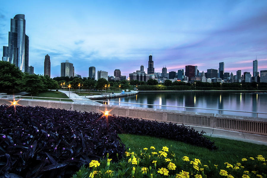 Summer Flowers And Chicago Skyline Photograph